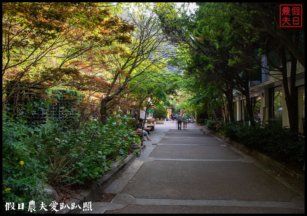 武陵農場國民賓館|免費南谷園區導覽解說必參加|四月份有紫藤白藤 @假日農夫愛趴趴照