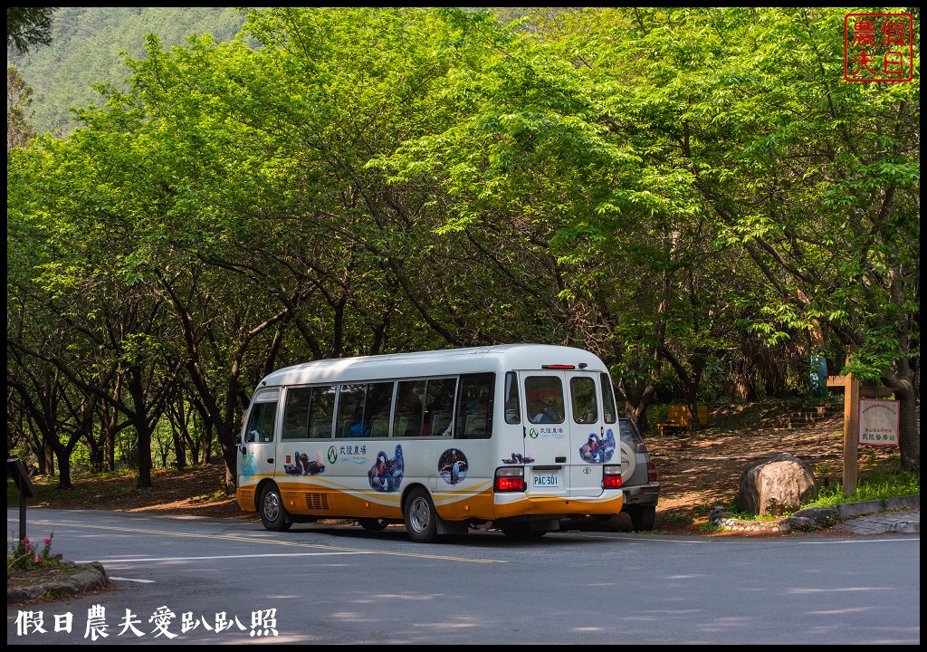 武陵農場國民賓館|免費南谷園區導覽解說必參加|四月份有紫藤白藤 @假日農夫愛趴趴照