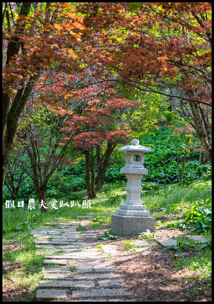 福壽山農場|四季都有好風光．賞花住宿怎麼玩 @假日農夫愛趴趴照