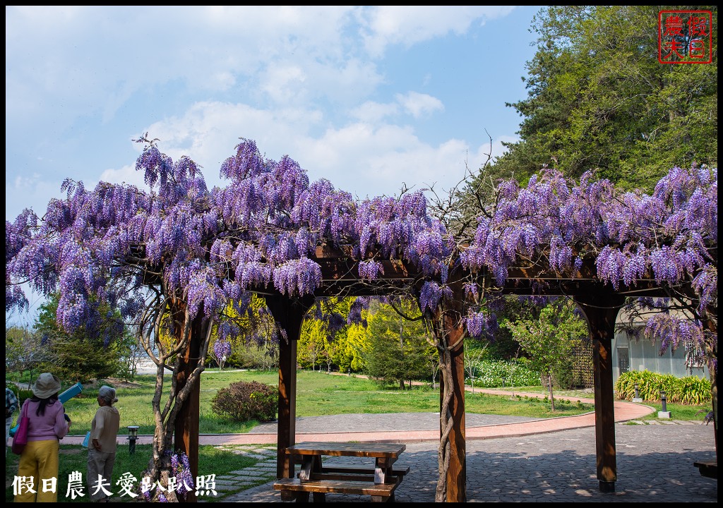 福壽山農場|四季都有好風光．賞花住宿怎麼玩 @假日農夫愛趴趴照