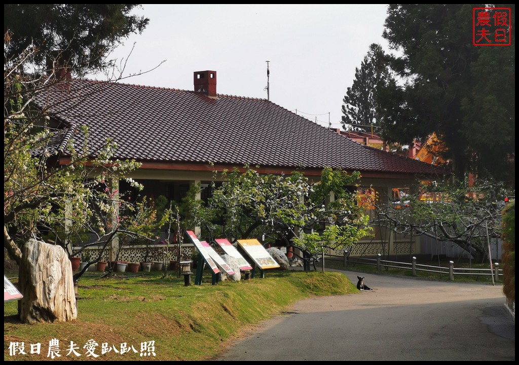 福壽山農場|四季都有好風光．賞花住宿怎麼玩 @假日農夫愛趴趴照