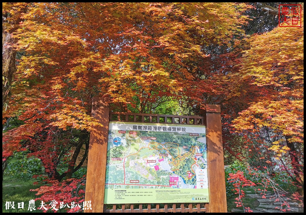 福壽山農場|四季都有好風光．賞花住宿怎麼玩 @假日農夫愛趴趴照