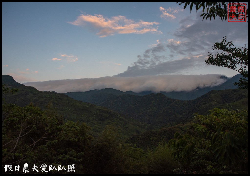 綠光森林景觀民宿餐廳|坐看山景雲海落羽松餵羊咩咩與星光入眠 @假日農夫愛趴趴照