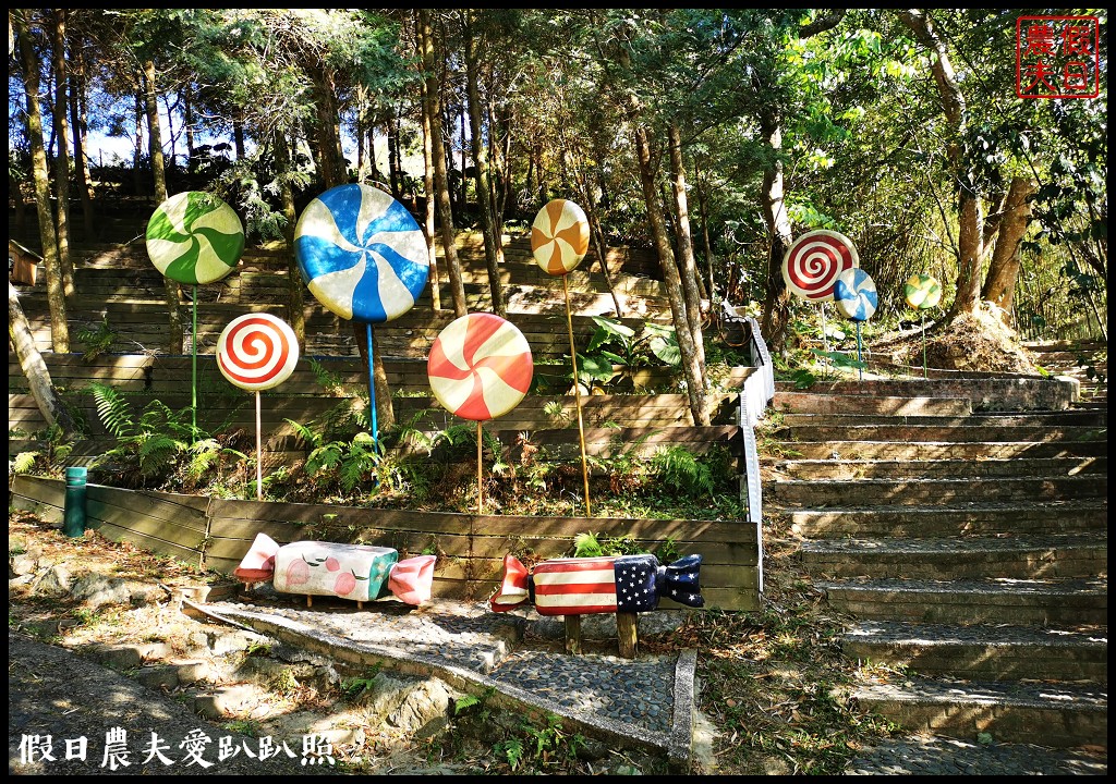 綠光森林景觀民宿餐廳|坐看山景雲海落羽松餵羊咩咩與星光入眠 @假日農夫愛趴趴照