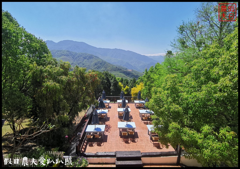 綠光森林景觀民宿餐廳|坐看山景雲海落羽松餵羊咩咩與星光入眠 @假日農夫愛趴趴照