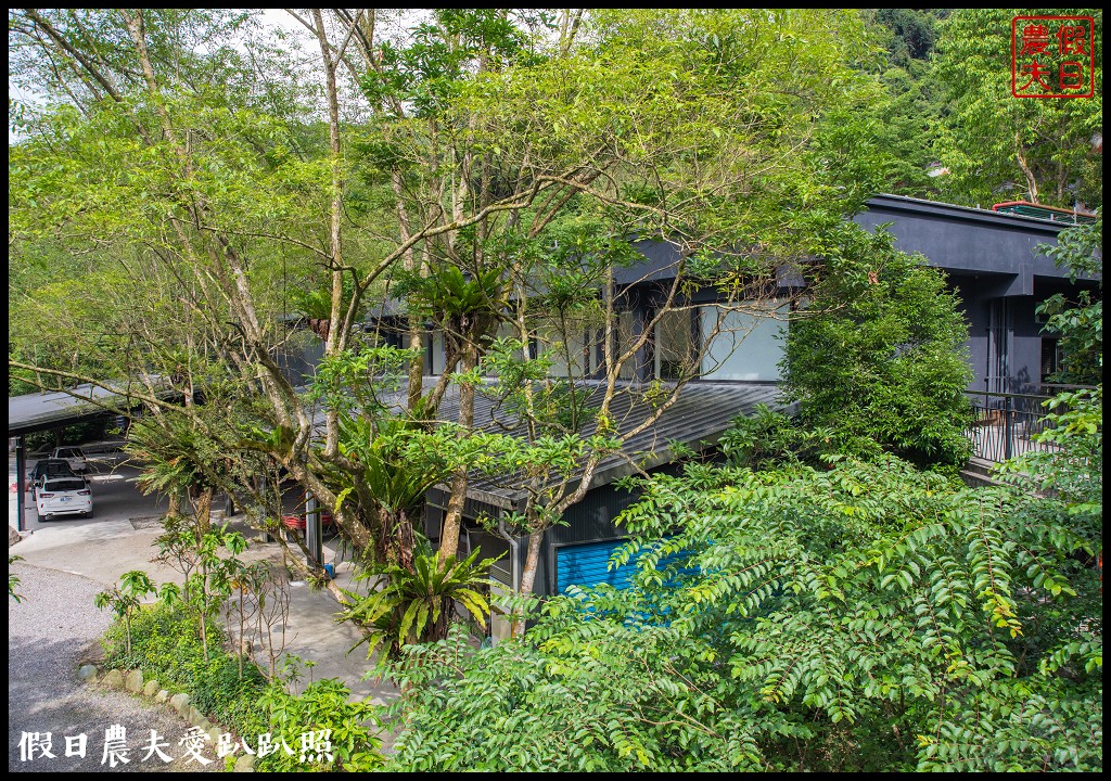 住進森林小屋裡重點是沒有蚊子|紫森林旅宿-三富休閒農場 @假日農夫愛趴趴照