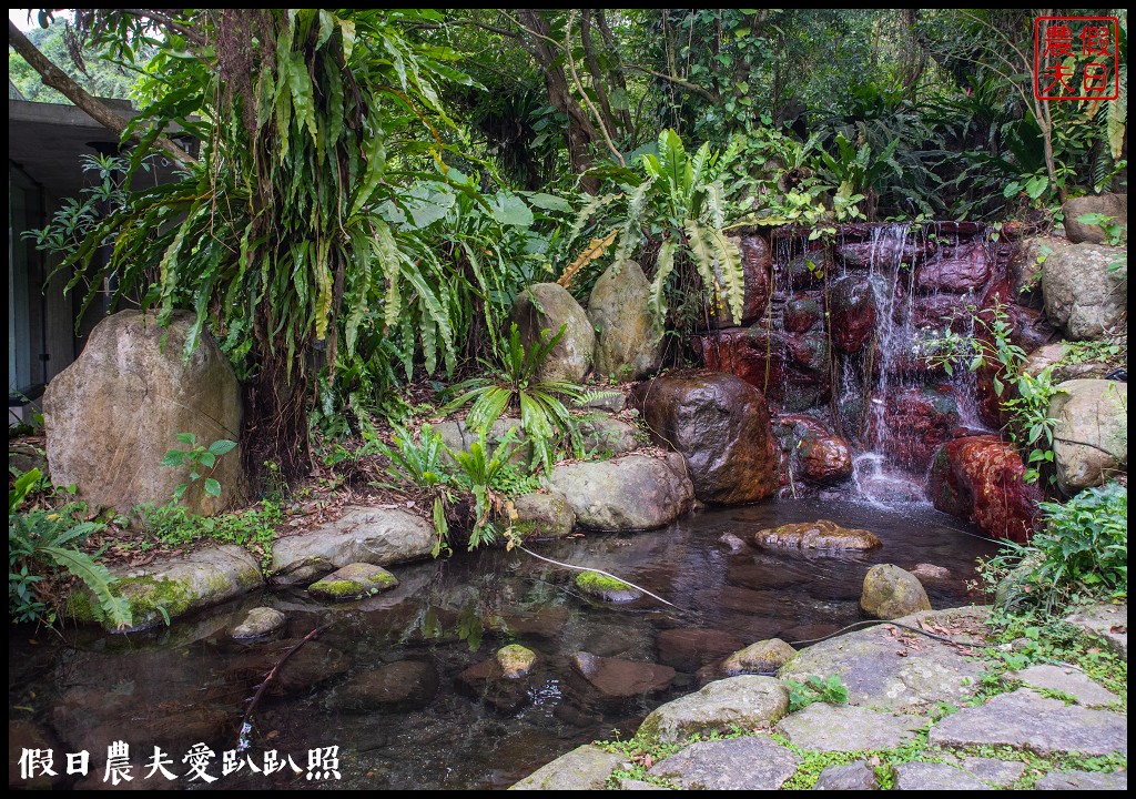 住進森林小屋裡重點是沒有蚊子|紫森林旅宿-三富休閒農場 @假日農夫愛趴趴照