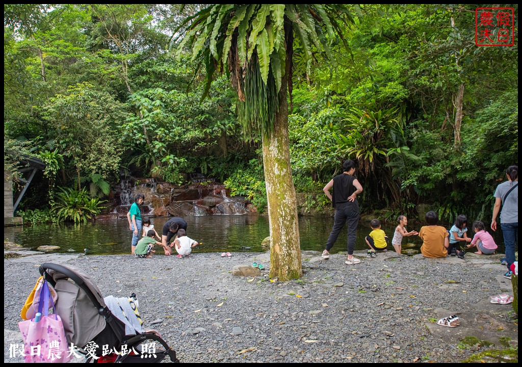 住進森林小屋裡重點是沒有蚊子|紫森林旅宿-三富休閒農場 @假日農夫愛趴趴照