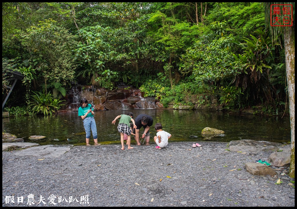 住進森林小屋裡重點是沒有蚊子|紫森林旅宿-三富休閒農場 @假日農夫愛趴趴照