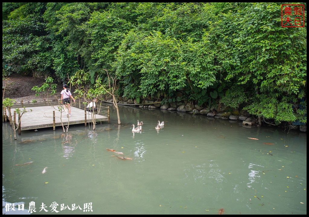 住進森林小屋裡重點是沒有蚊子|紫森林旅宿-三富休閒農場 @假日農夫愛趴趴照