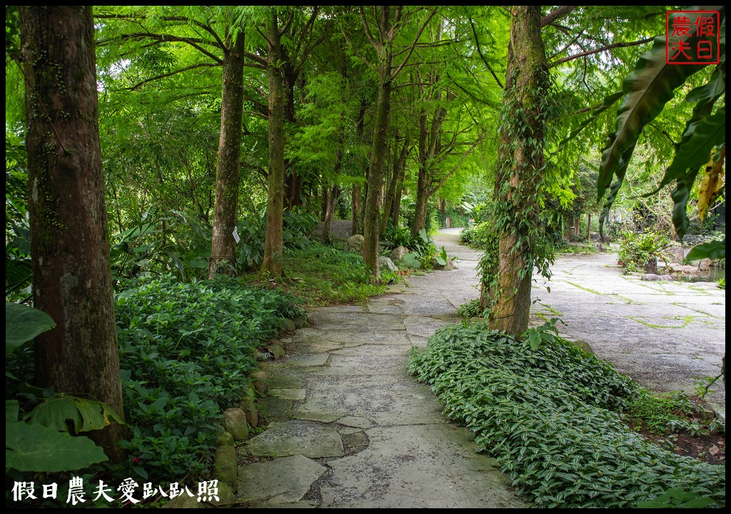 住進森林小屋裡重點是沒有蚊子|紫森林旅宿-三富休閒農場 @假日農夫愛趴趴照