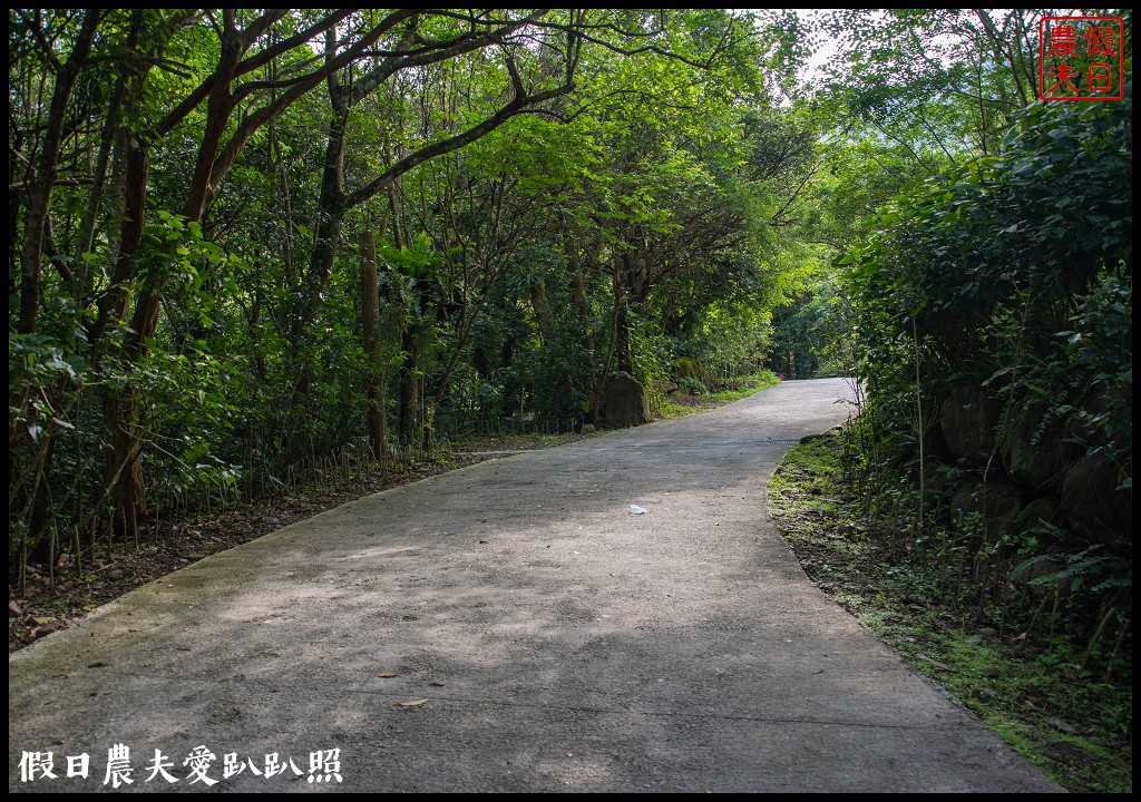 住進森林小屋裡重點是沒有蚊子|紫森林旅宿-三富休閒農場 @假日農夫愛趴趴照