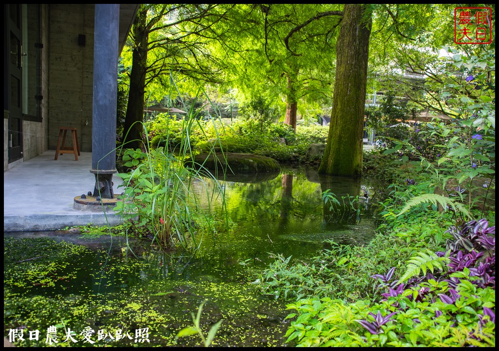 住進森林小屋裡重點是沒有蚊子|紫森林旅宿-三富休閒農場 @假日農夫愛趴趴照