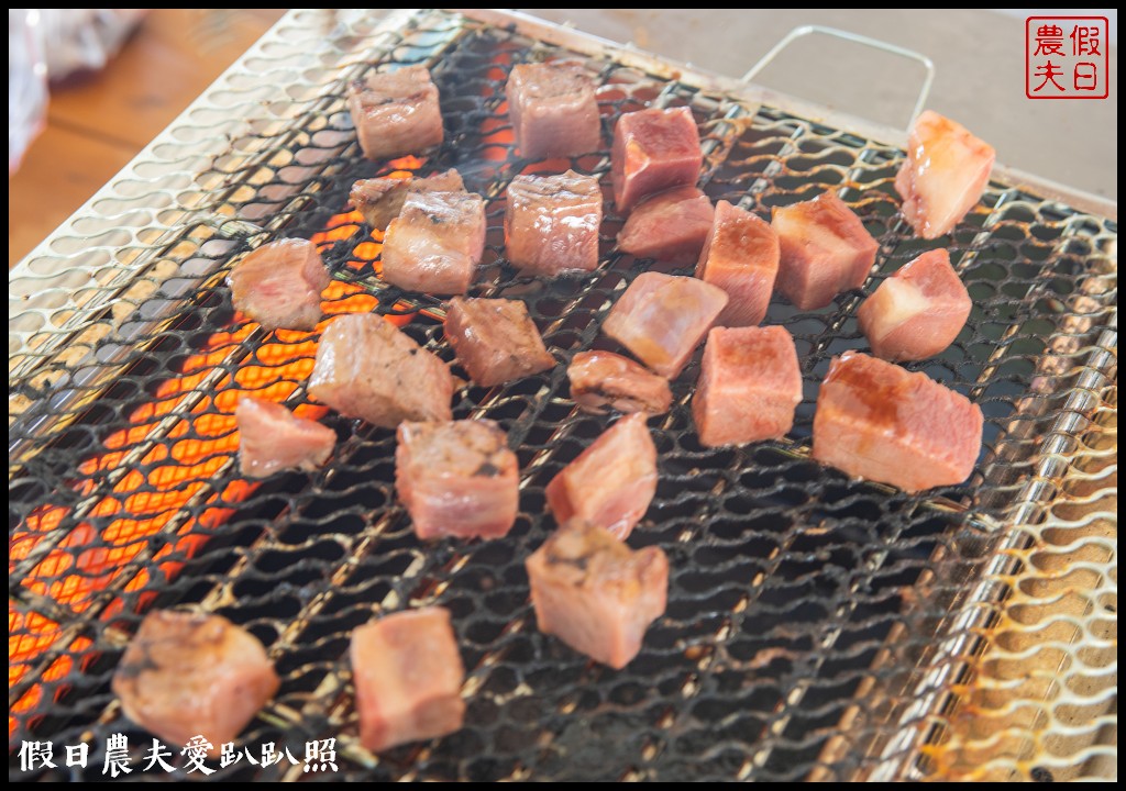 馬沙溝海洋休閒運動中心|海邊戲水獨木舟露營烤肉一處搞定/一箭雙鵰藝術季 @假日農夫愛趴趴照