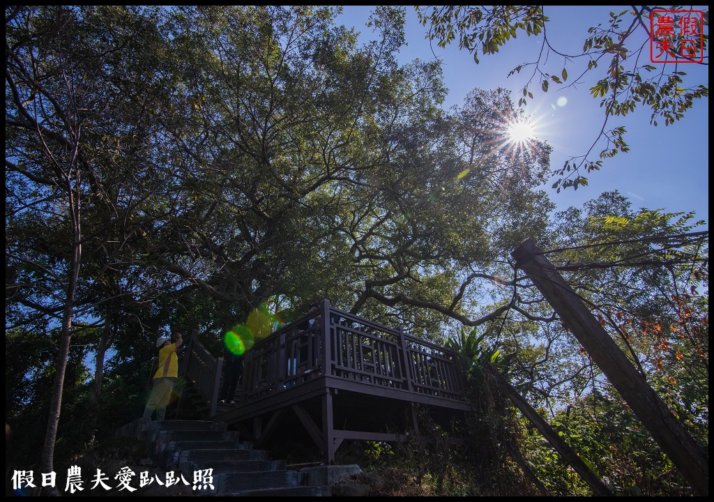 梨之鄉休閒農業區一日遊|健行採果美食休閒一次滿足 @假日農夫愛趴趴照