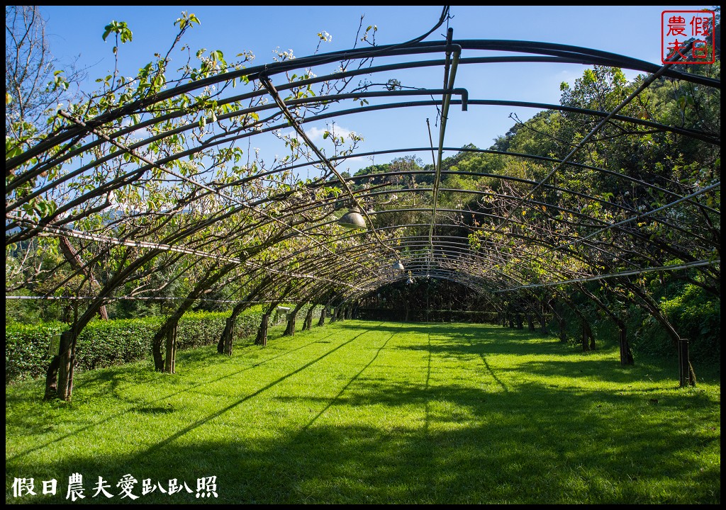 梨之鄉休閒農業區一日遊|健行採果美食休閒一次滿足 @假日農夫愛趴趴照