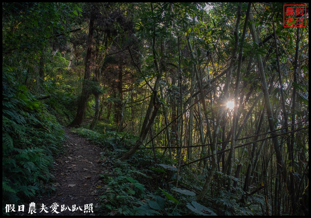 梨之鄉休閒農業區一日遊|健行採果美食休閒一次滿足 @假日農夫愛趴趴照