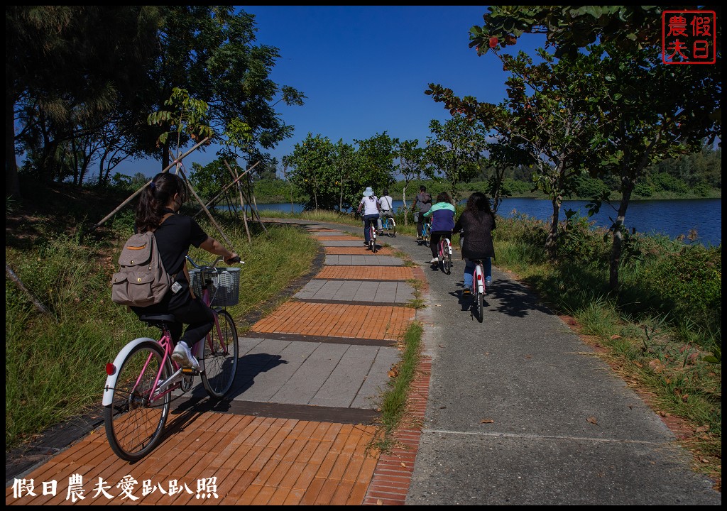 口湖一日遊|馬蹄蛤主題館×口湖遊客中心×椬梧滯洪池×好蝦冏男社×成龍溼地 @假日農夫愛趴趴照