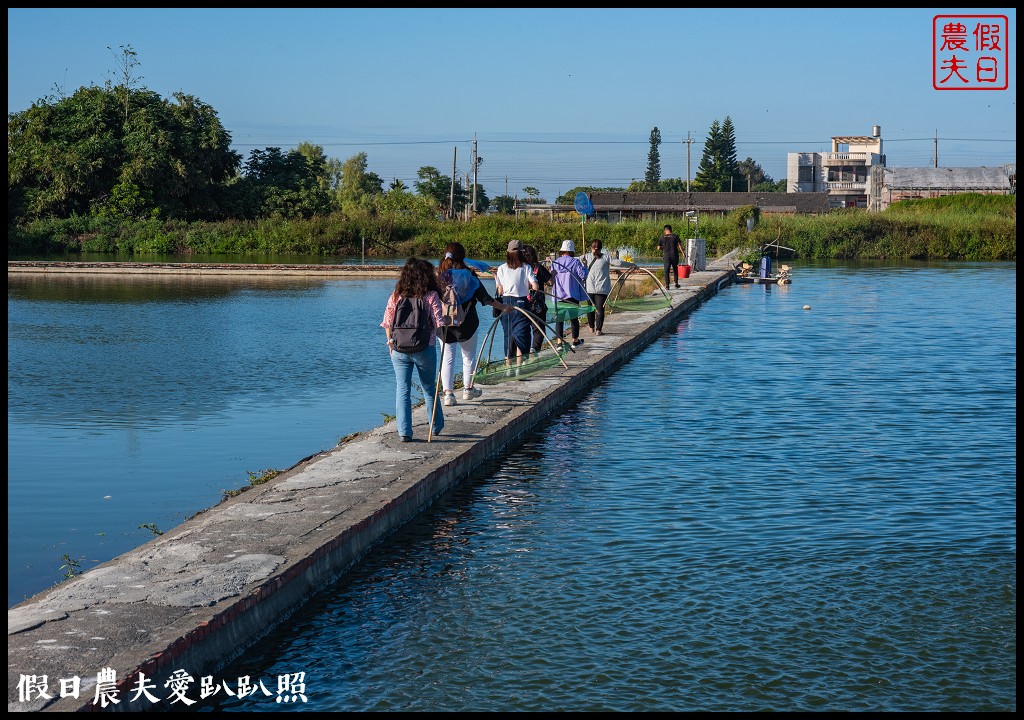 口湖一日遊|馬蹄蛤主題館×口湖遊客中心×椬梧滯洪池×好蝦冏男社×成龍溼地 @假日農夫愛趴趴照