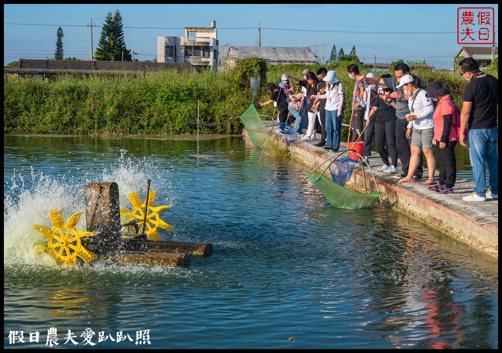 口湖一日遊|馬蹄蛤主題館×口湖遊客中心×椬梧滯洪池×好蝦冏男社×成龍溼地 @假日農夫愛趴趴照