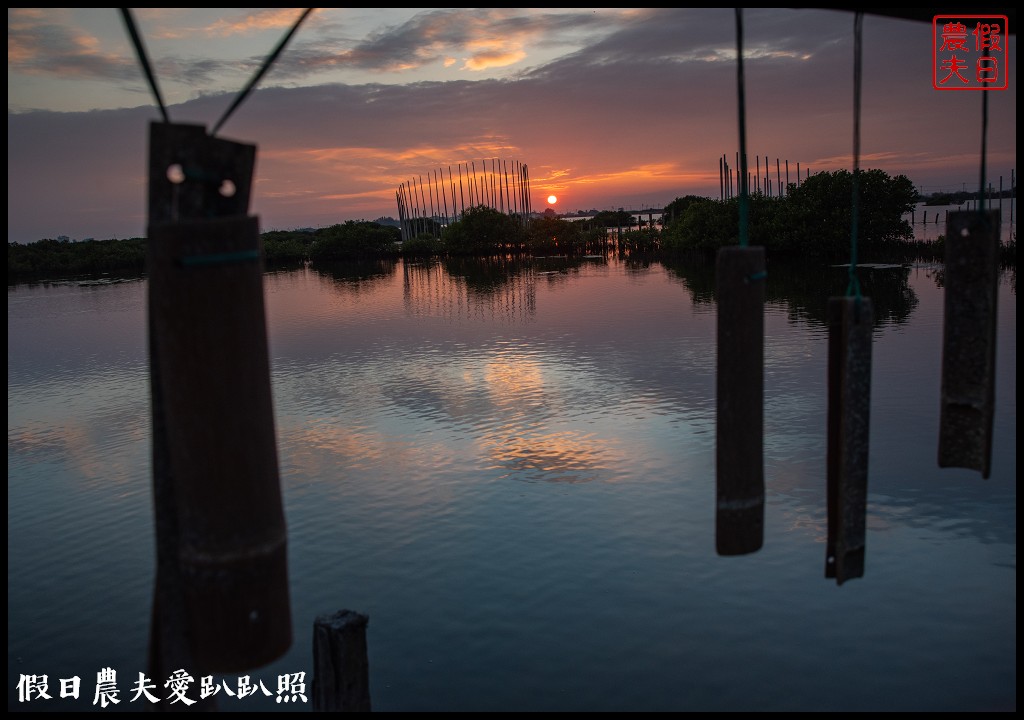 口湖一日遊|馬蹄蛤主題館×口湖遊客中心×椬梧滯洪池×好蝦冏男社×成龍溼地 @假日農夫愛趴趴照