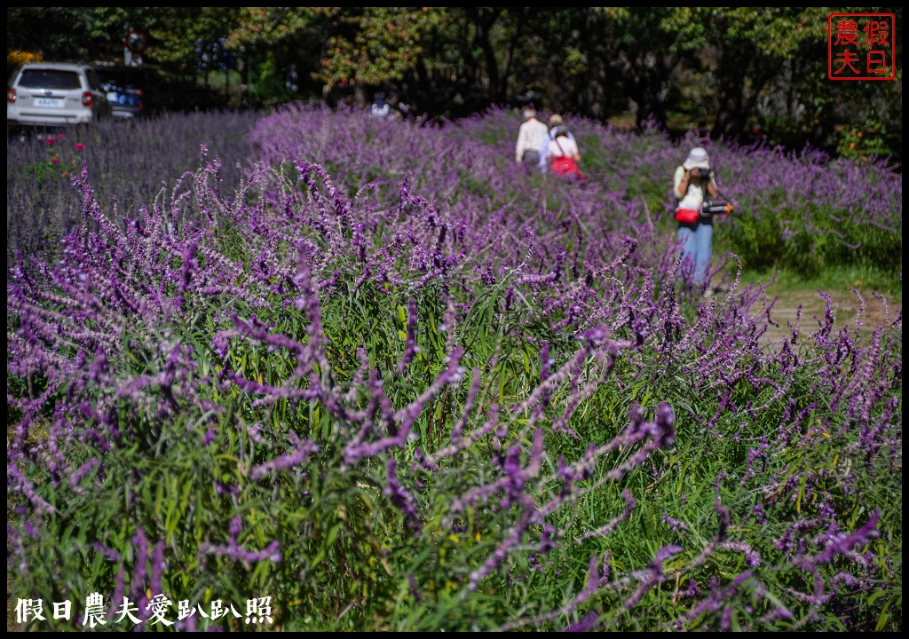 武陵山莊|武陵農場住宿的另一個選擇 @假日農夫愛趴趴照