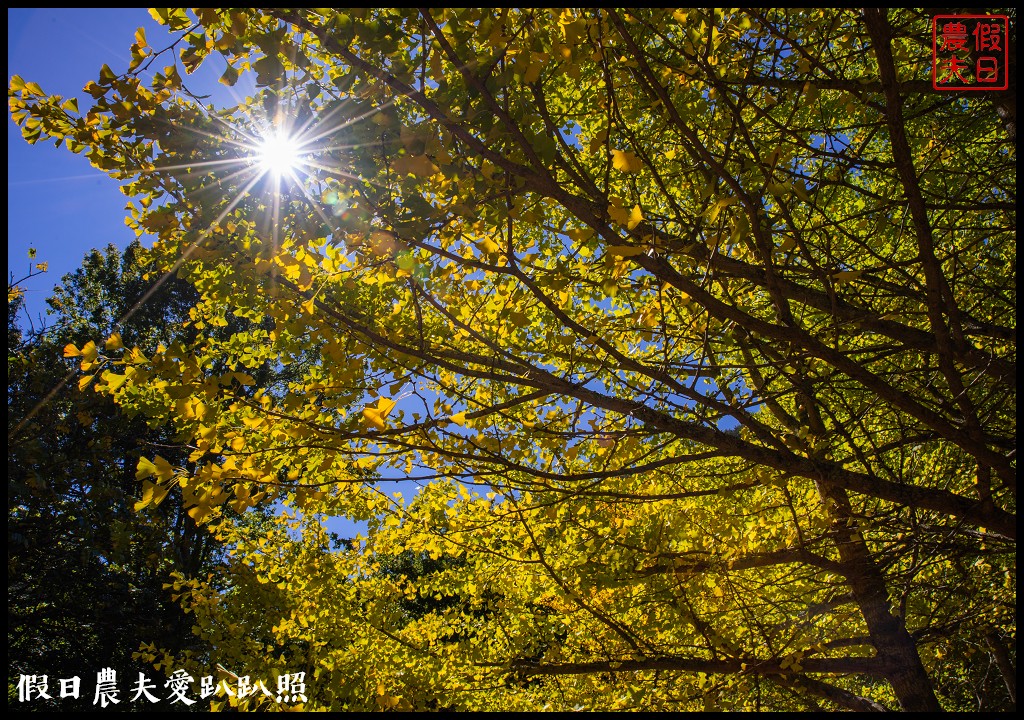 武陵山莊|武陵農場住宿的另一個選擇 @假日農夫愛趴趴照