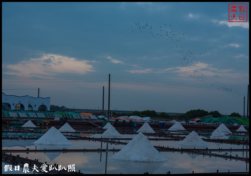 台南鹽鄉民宿餐廳|漁村海洋風民宿早餐是豐盛的海鮮粥 @假日農夫愛趴趴照