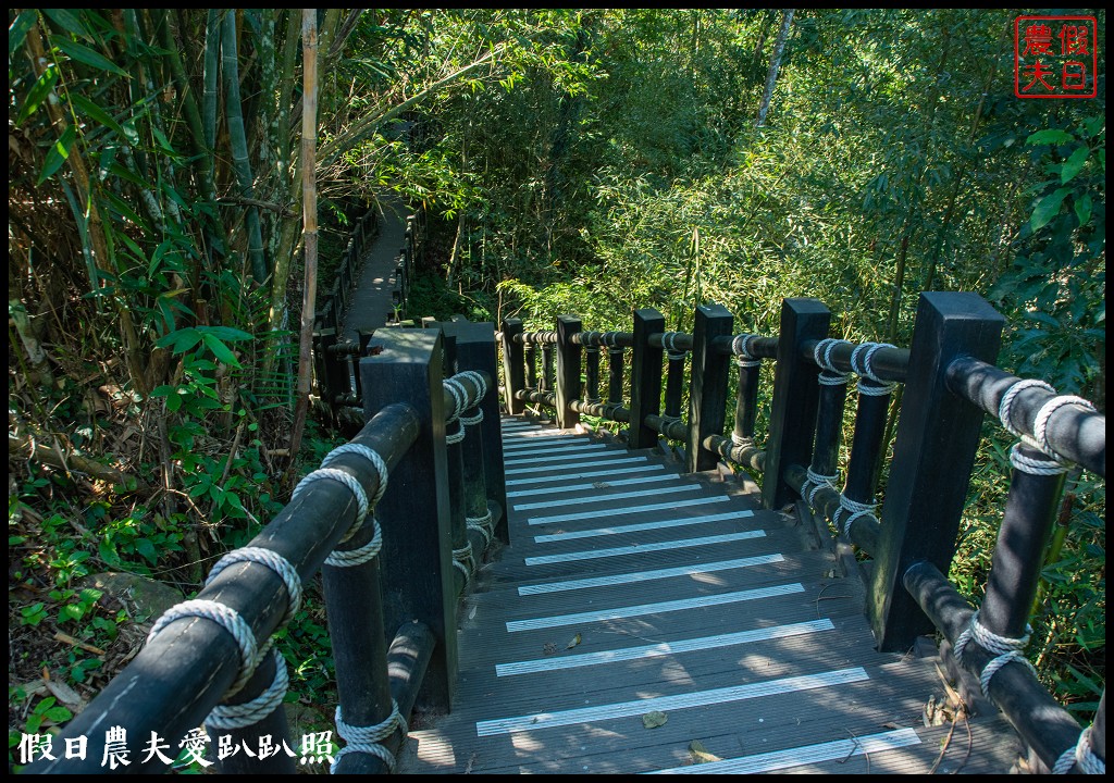 台灣好行南庄線|深度漫遊文化巡禮東村宿舍穿和服免出國就能像到日本一樣 @假日農夫愛趴趴照