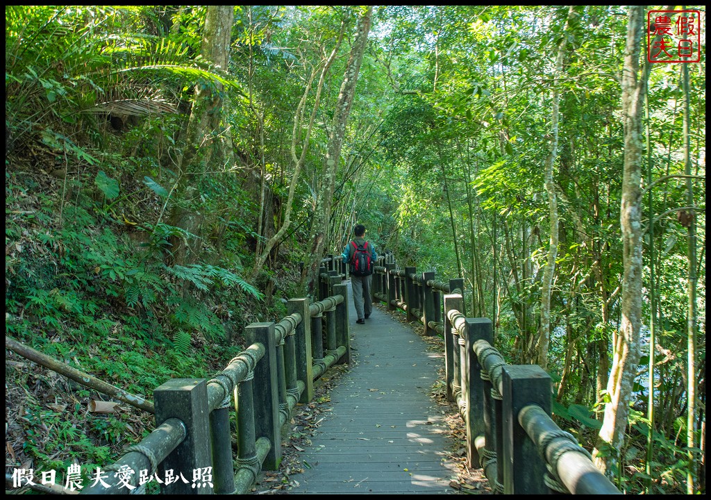 台灣好行南庄線|深度漫遊文化巡禮東村宿舍穿和服免出國就能像到日本一樣 @假日農夫愛趴趴照