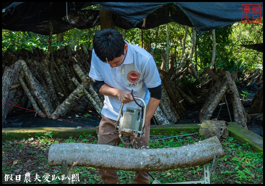 台灣好行南庄線|深度漫遊文化巡禮東村宿舍穿和服免出國就能像到日本一樣 @假日農夫愛趴趴照