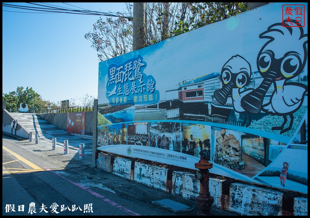 台南黑面琵鷺生態展示館×黑面琵鷺賞鳥亭×台灣極西點國聖燈塔 @假日農夫愛趴趴照