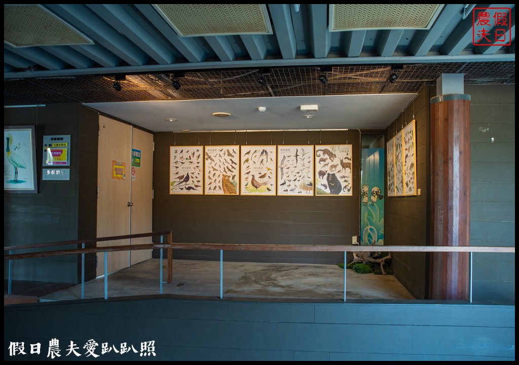 黑面琵鷺生態展示館×黑面琵鷺賞鳥亭×台灣極西點國聖燈塔 @假日農夫愛趴趴照