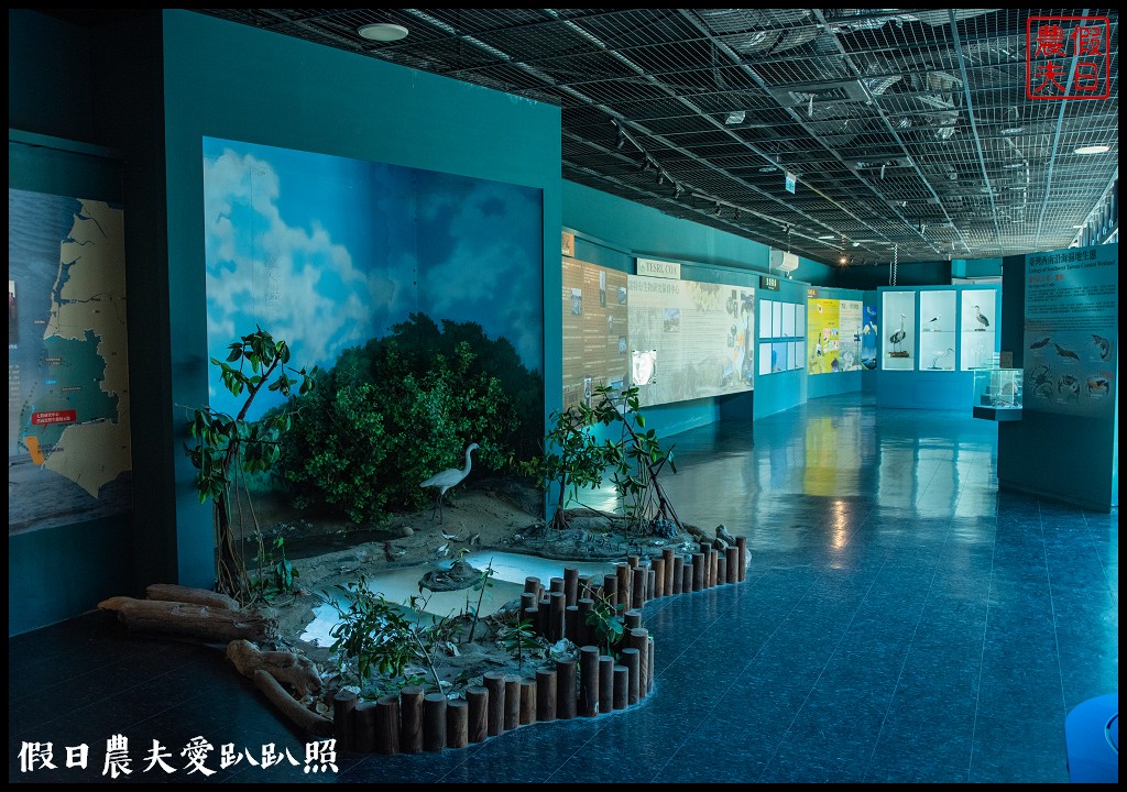 台南黑面琵鷺生態展示館×黑面琵鷺賞鳥亭×台灣極西點國聖燈塔 @假日農夫愛趴趴照