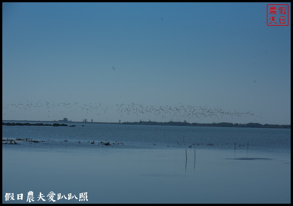 台南黑面琵鷺生態展示館×黑面琵鷺賞鳥亭×台灣極西點國聖燈塔 @假日農夫愛趴趴照