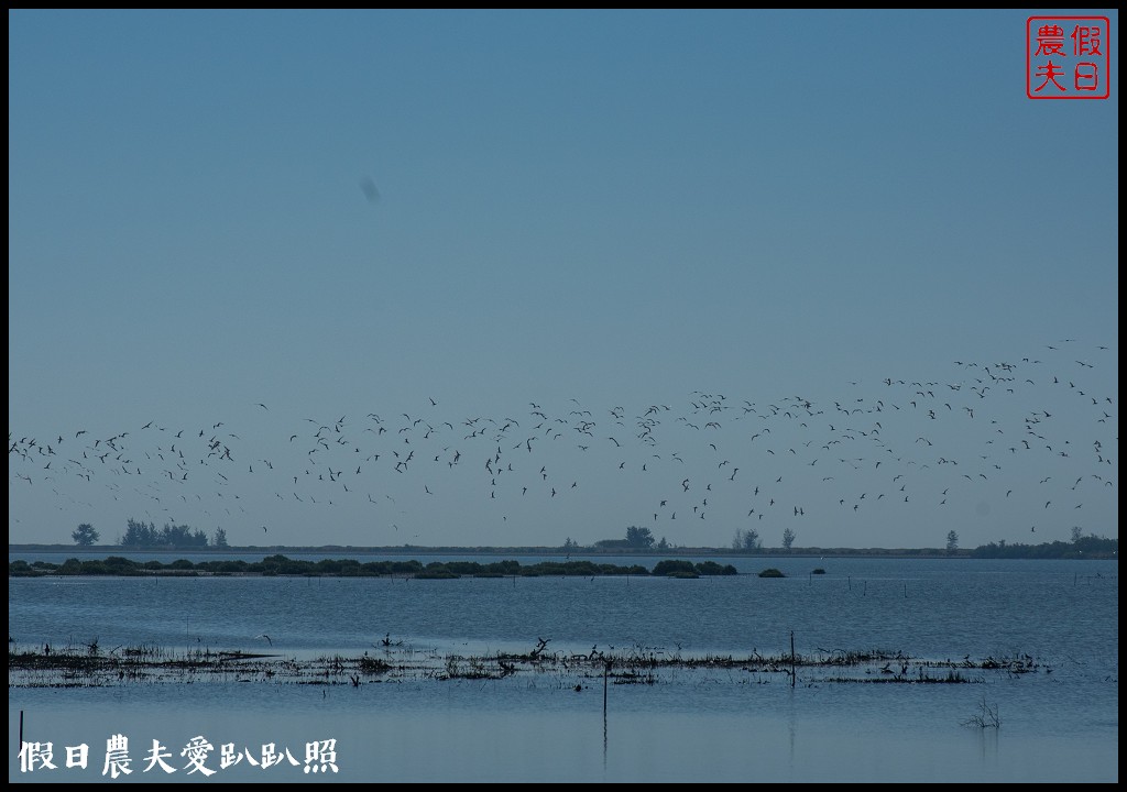 黑面琵鷺生態展示館×黑面琵鷺賞鳥亭×台灣極西點國聖燈塔 @假日農夫愛趴趴照