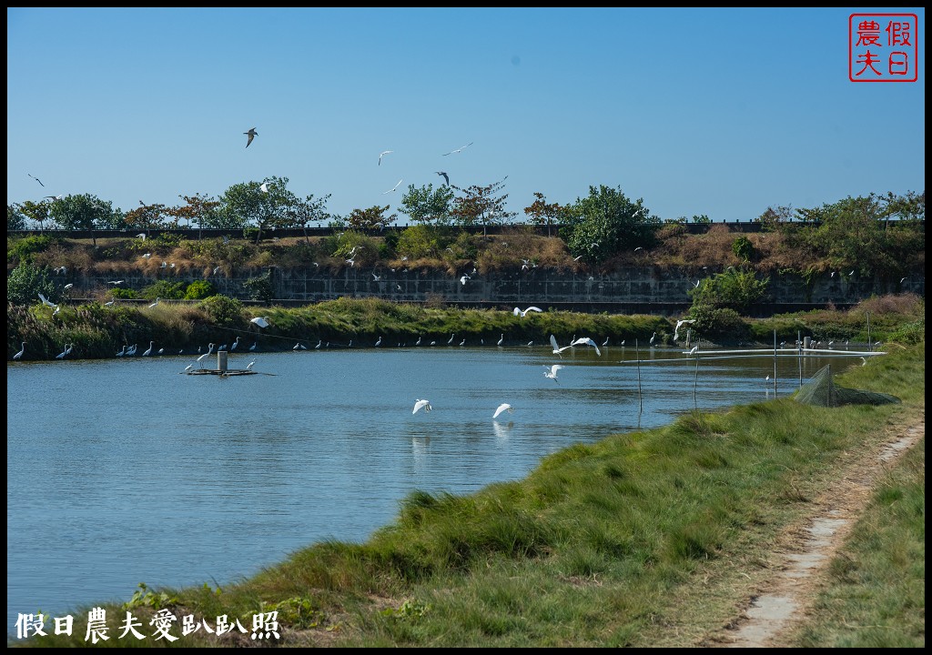 台南黑面琵鷺生態展示館×黑面琵鷺賞鳥亭×台灣極西點國聖燈塔 @假日農夫愛趴趴照