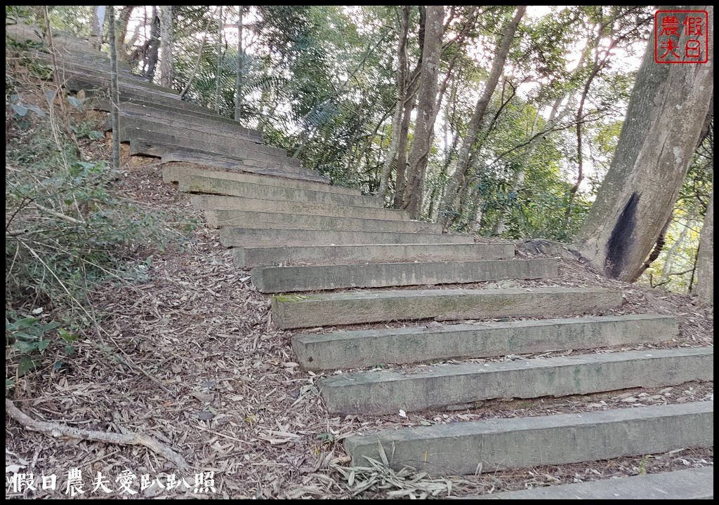 麻布山林|隱身在新竹北埔的神祕住宿．豐富生態還有環山步道 @假日農夫愛趴趴照