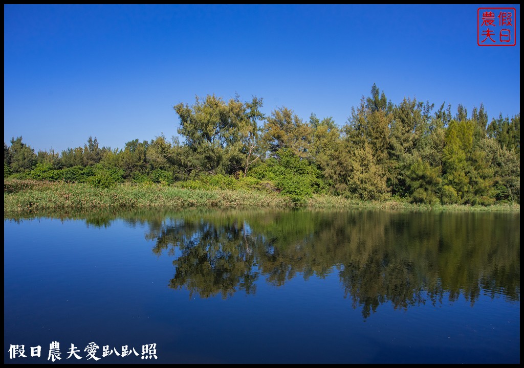 椬梧滯洪池|騎免費腳踏車遊雲林版日月潭/口湖遊客中心/宜梧滯洪池 @假日農夫愛趴趴照