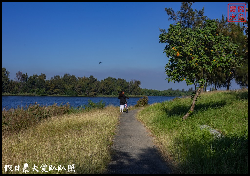 椬梧滯洪池|騎免費腳踏車遊雲林版日月潭/口湖遊客中心/宜梧滯洪池 @假日農夫愛趴趴照