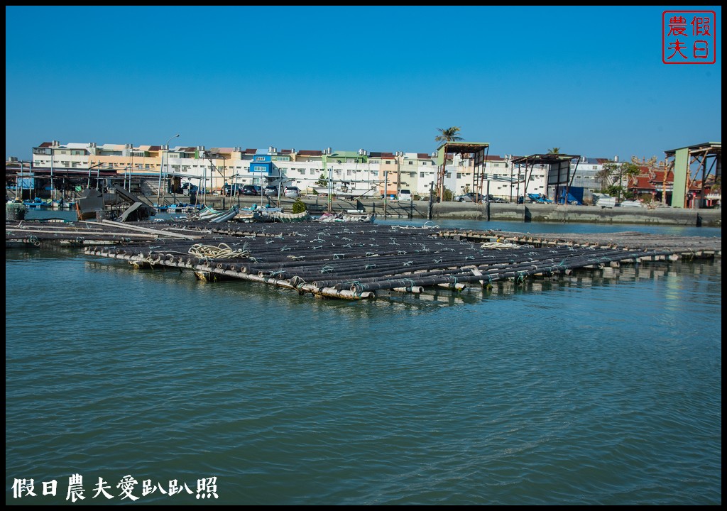 布袋新玩法|搭海上巴士搶灘蛋糕沙灘．來無人島上拍網美照打卡 @假日農夫愛趴趴照