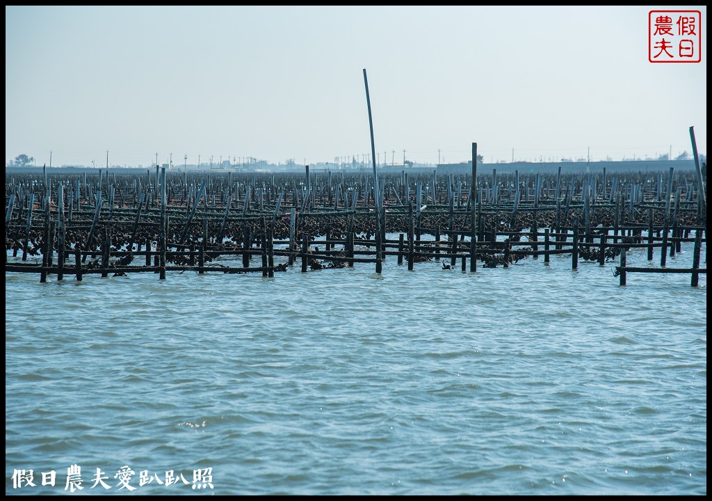 布袋新玩法|搭海上巴士搶灘蛋糕沙灘．來無人島上拍網美照打卡 @假日農夫愛趴趴照