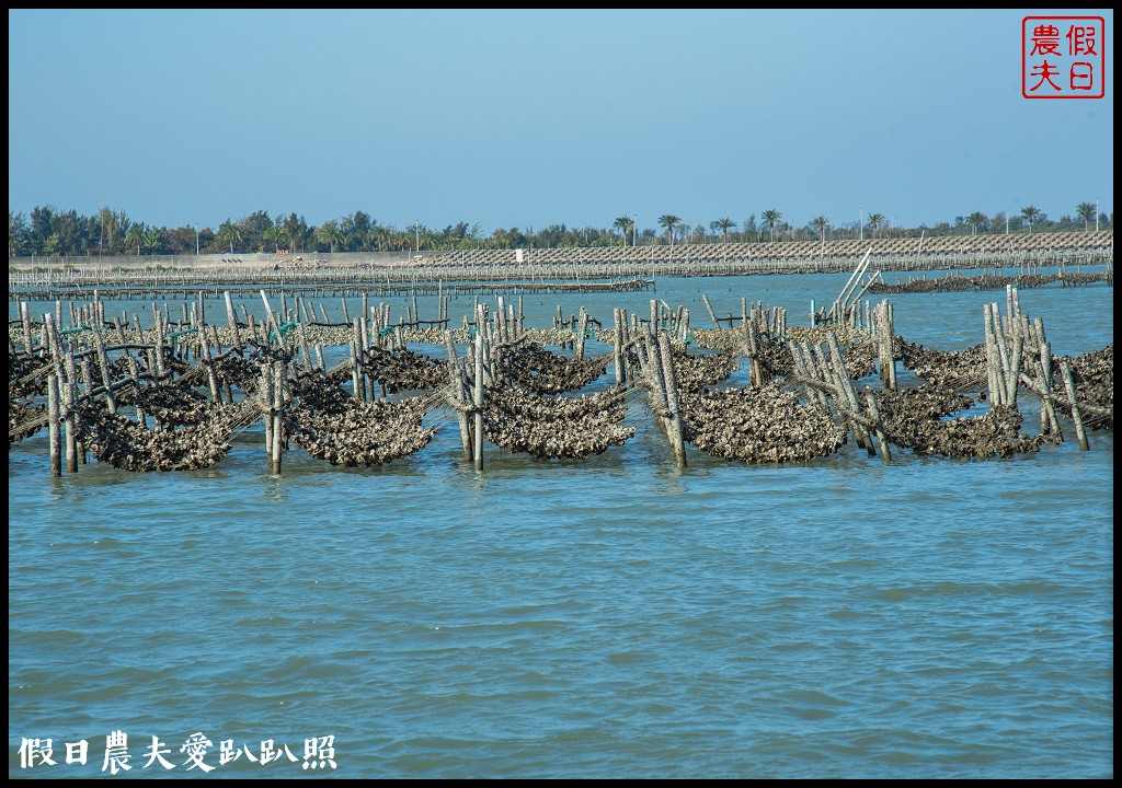 布袋新玩法|搭海上巴士搶灘蛋糕沙灘．來無人島上拍網美照打卡 @假日農夫愛趴趴照