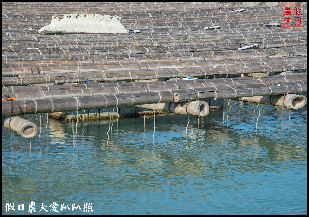 布袋新玩法|搭海上巴士搶灘蛋糕沙灘．來無人島上拍網美照打卡 @假日農夫愛趴趴照