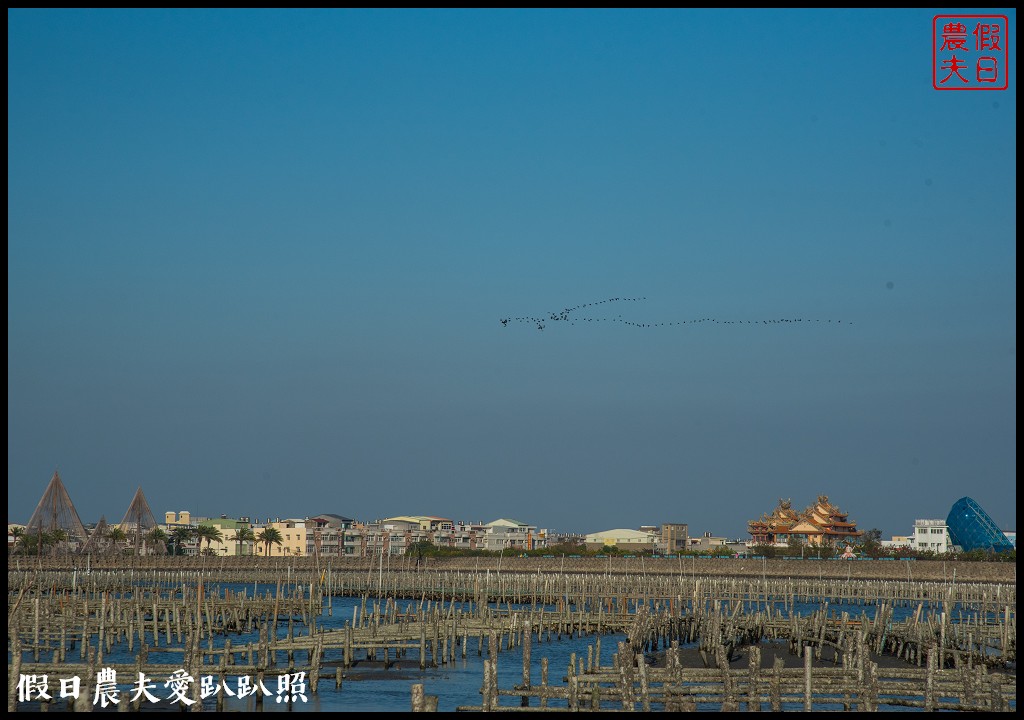 布袋新玩法|搭海上巴士搶灘蛋糕沙灘．來無人島上拍網美照打卡 @假日農夫愛趴趴照