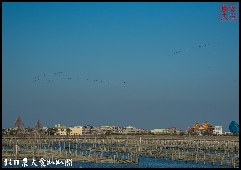 布袋新玩法|搭海上巴士搶灘蛋糕沙灘．來無人島上拍網美照打卡 @假日農夫愛趴趴照