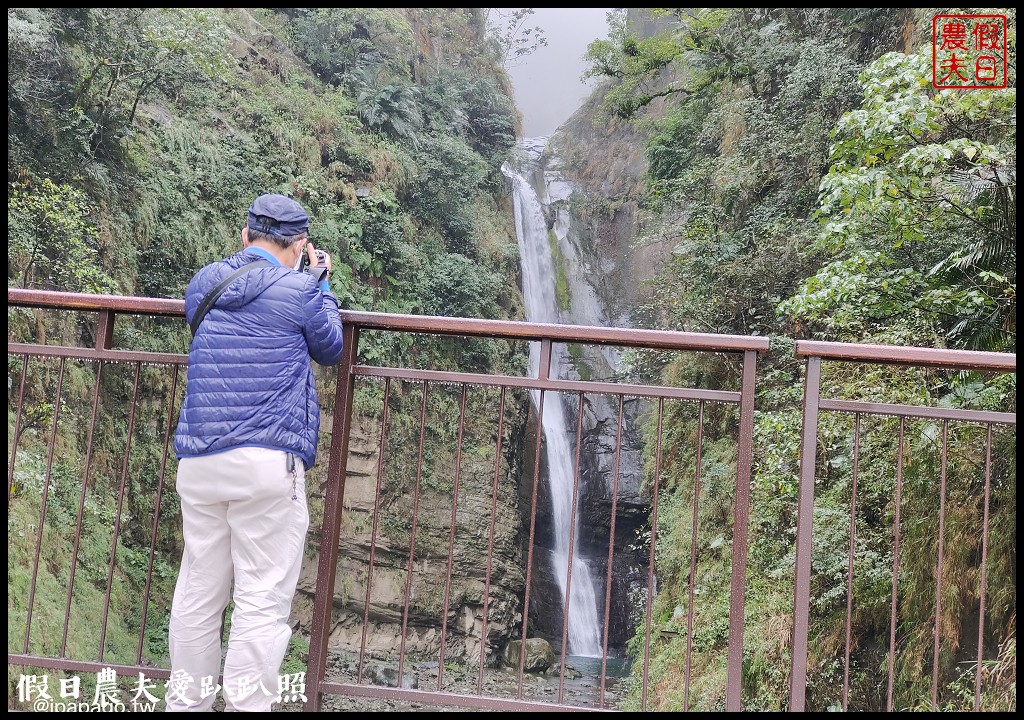 從跨河空中觀瀑平台近距離欣賞竹山第一美瀑瑞龍瀑布的美景 @假日農夫愛趴趴照