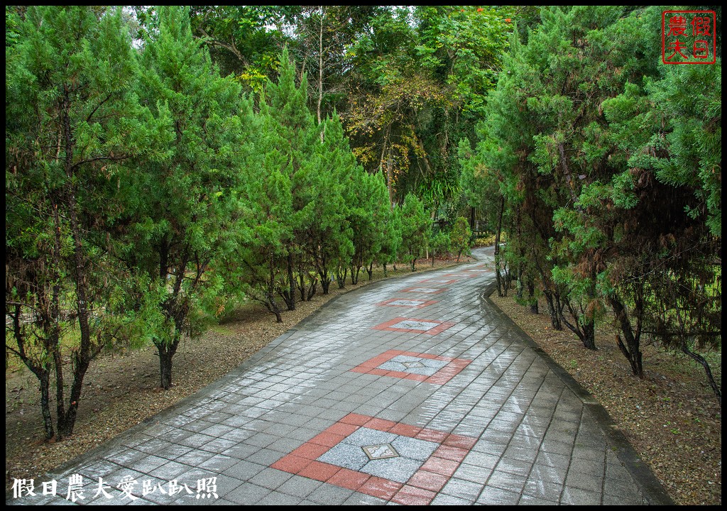 從跨河空中觀瀑平台近距離欣賞竹山第一美瀑瑞龍瀑布的美景 @假日農夫愛趴趴照