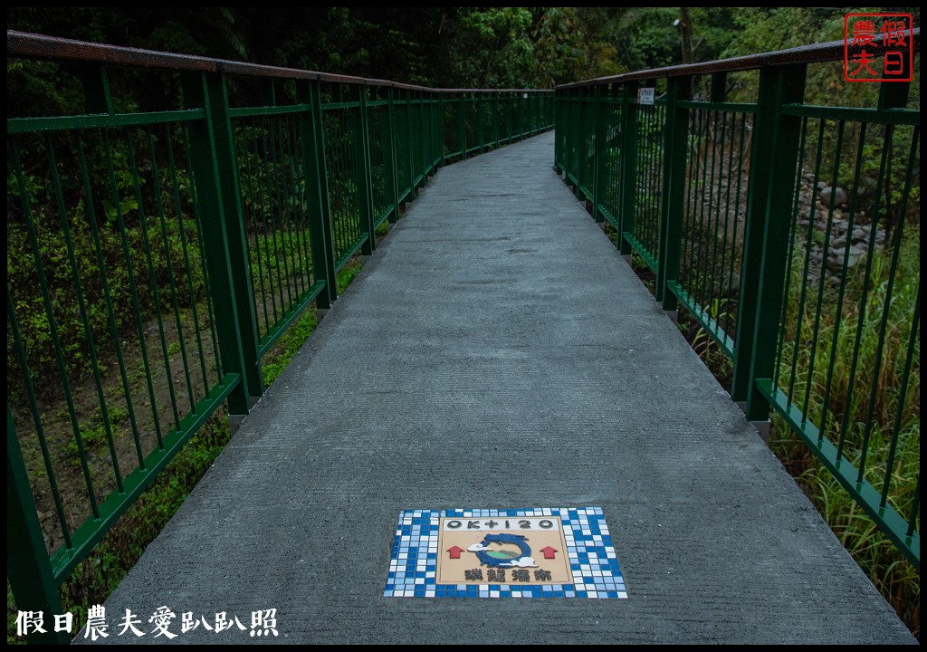 從跨河空中觀瀑平台近距離欣賞竹山第一美瀑瑞龍瀑布的美景 @假日農夫愛趴趴照