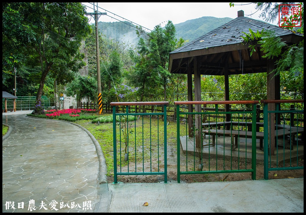 從跨河空中觀瀑平台近距離欣賞竹山第一美瀑瑞龍瀑布的美景 @假日農夫愛趴趴照